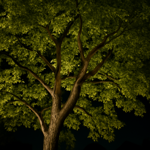 Uplight glowing in tree branches instead of glare